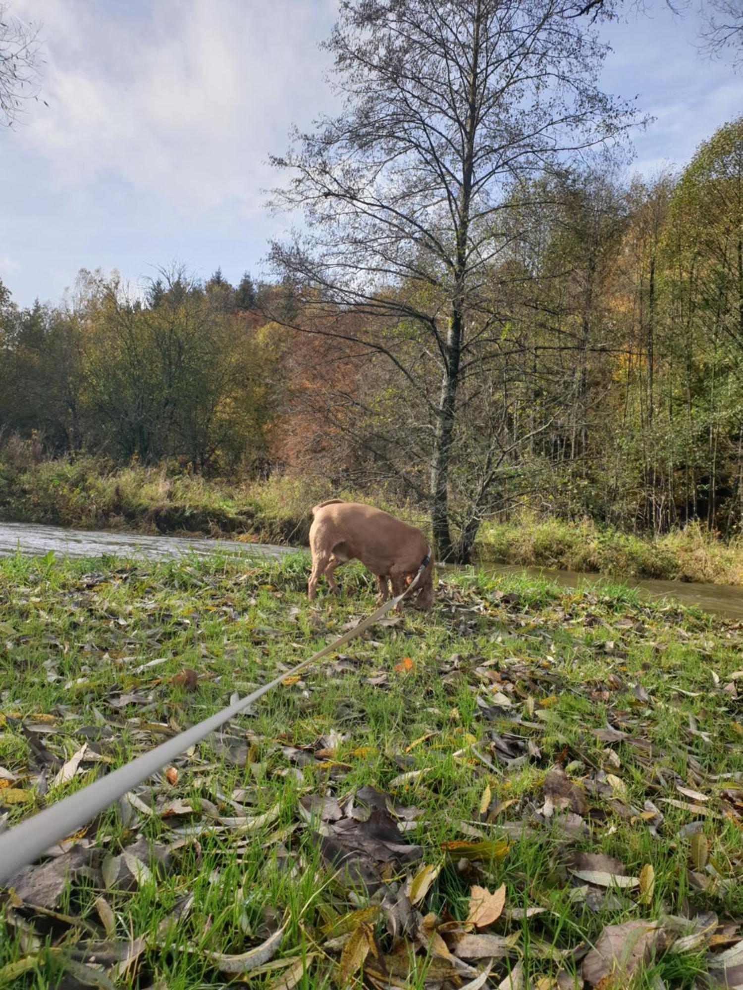 La Petite Romantique Martelange Bagian luar foto
